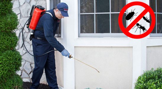 Sandıklı Tahtakurusu İlaçlama böcek ilaçlama ve haşere kontrolü — ilaclama-tr.com